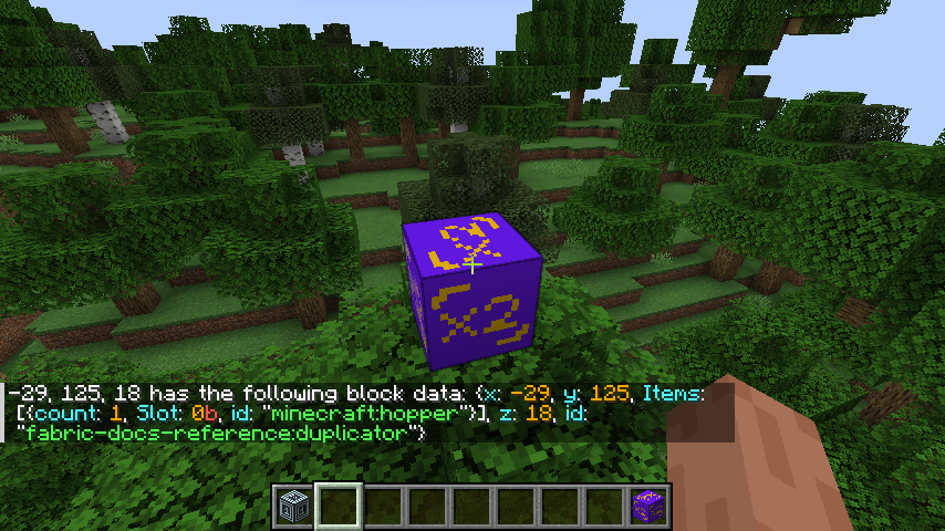 Duplicator block and output of showing the item in the container